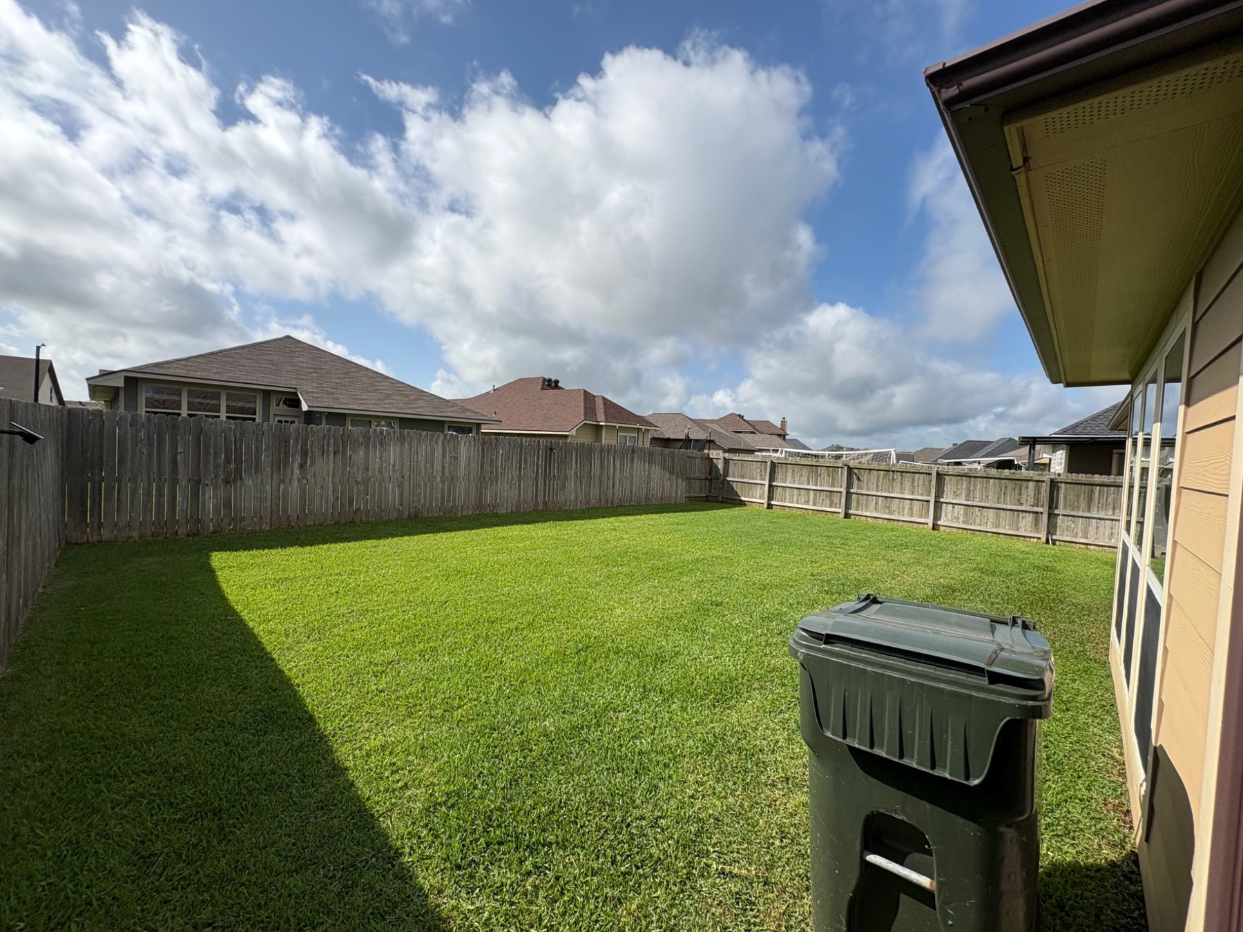 Backyard care & cleanup